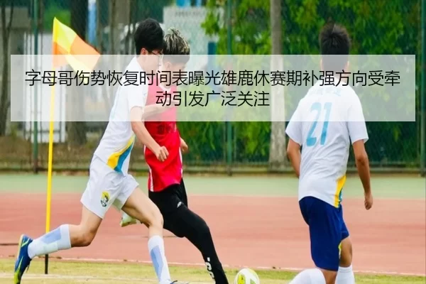字母哥伤势恢复时间表曝光雄鹿休赛期补强方向受牵动引发广泛关注